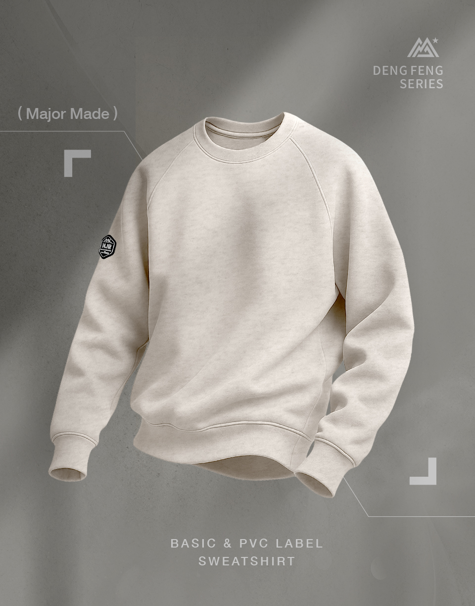 厚磅數內刷毛素色大學T