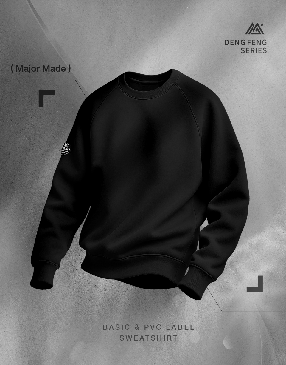 厚磅數內刷毛素色大學T