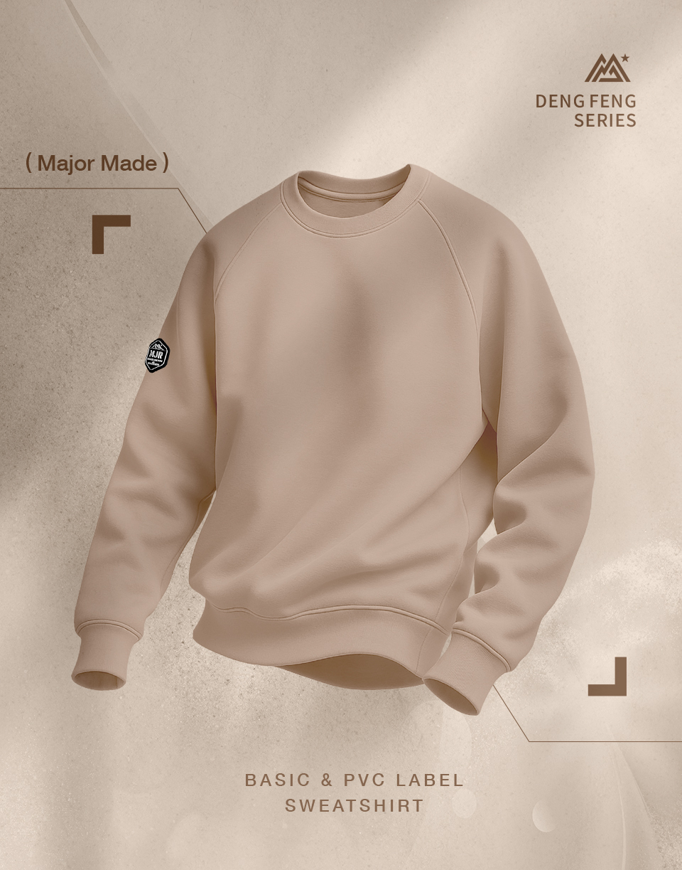 厚磅數內刷毛素色大學T